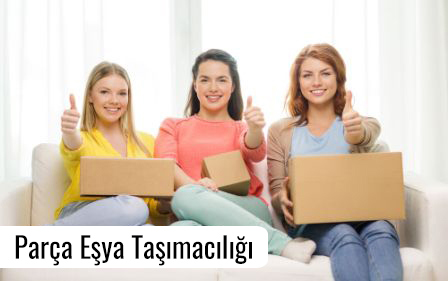 Parça Eşya Taşımacılığı